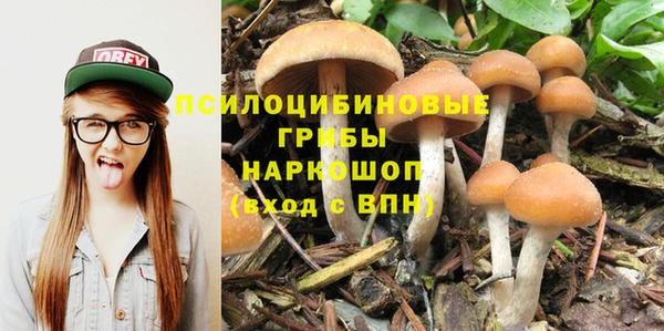 MDMA Беломорск