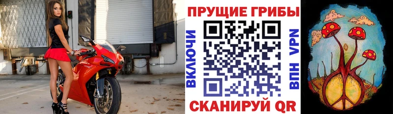 Галлюциногенные грибы GOLDEN TEACHER  Кунгур 